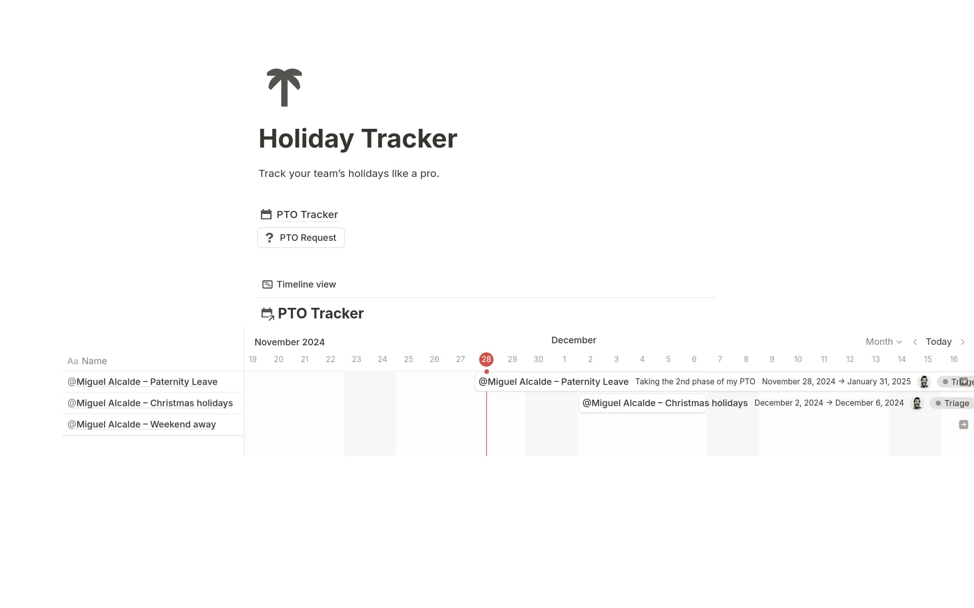 A template preview for Holiday PTO Tracker