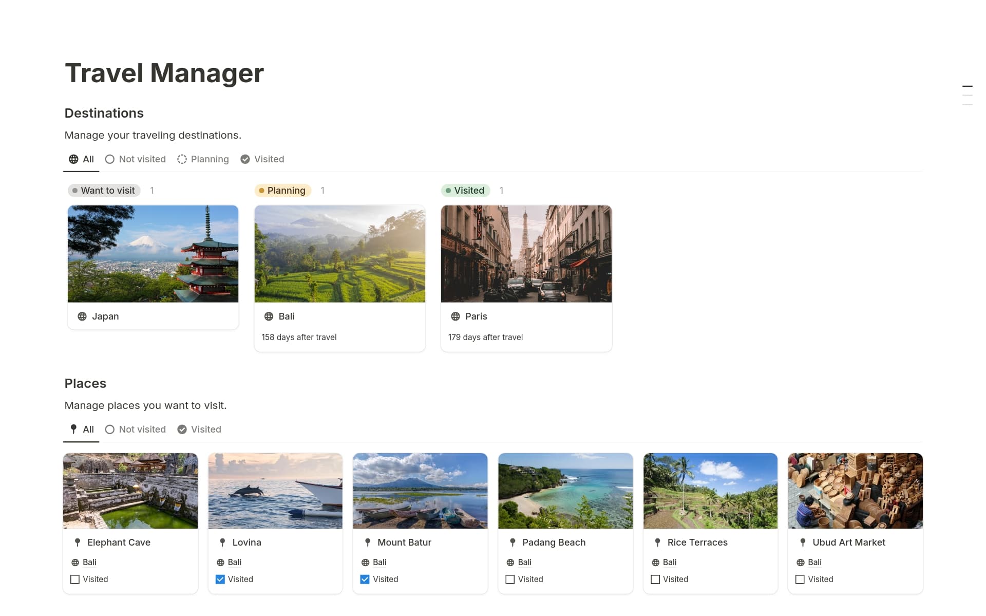 A template preview for Travel Manager