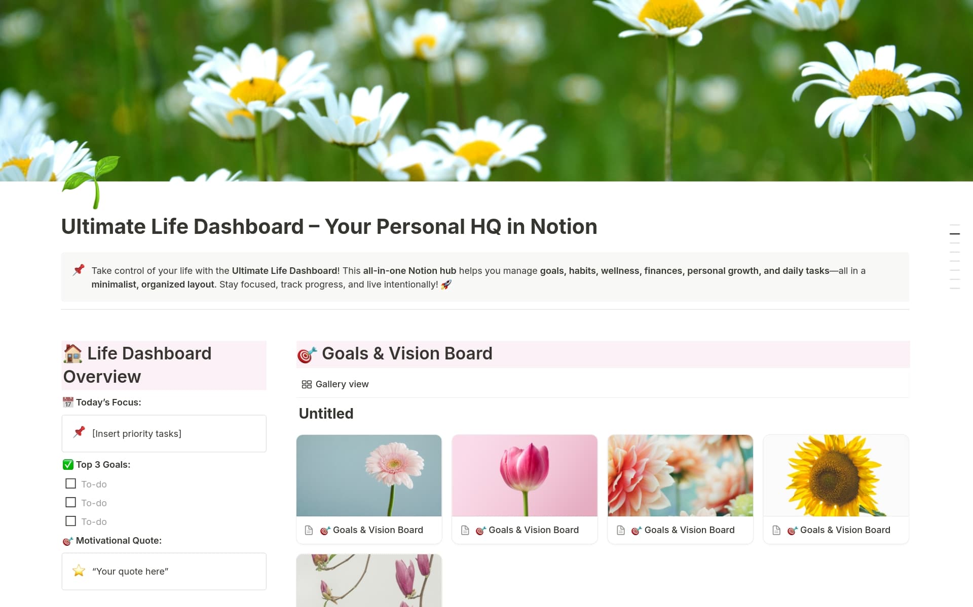 A template preview for Ultimate Life Dashboard