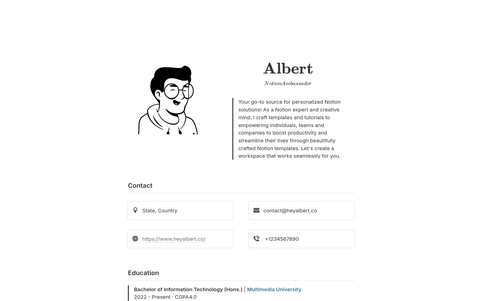 A template preview for Professional Resume