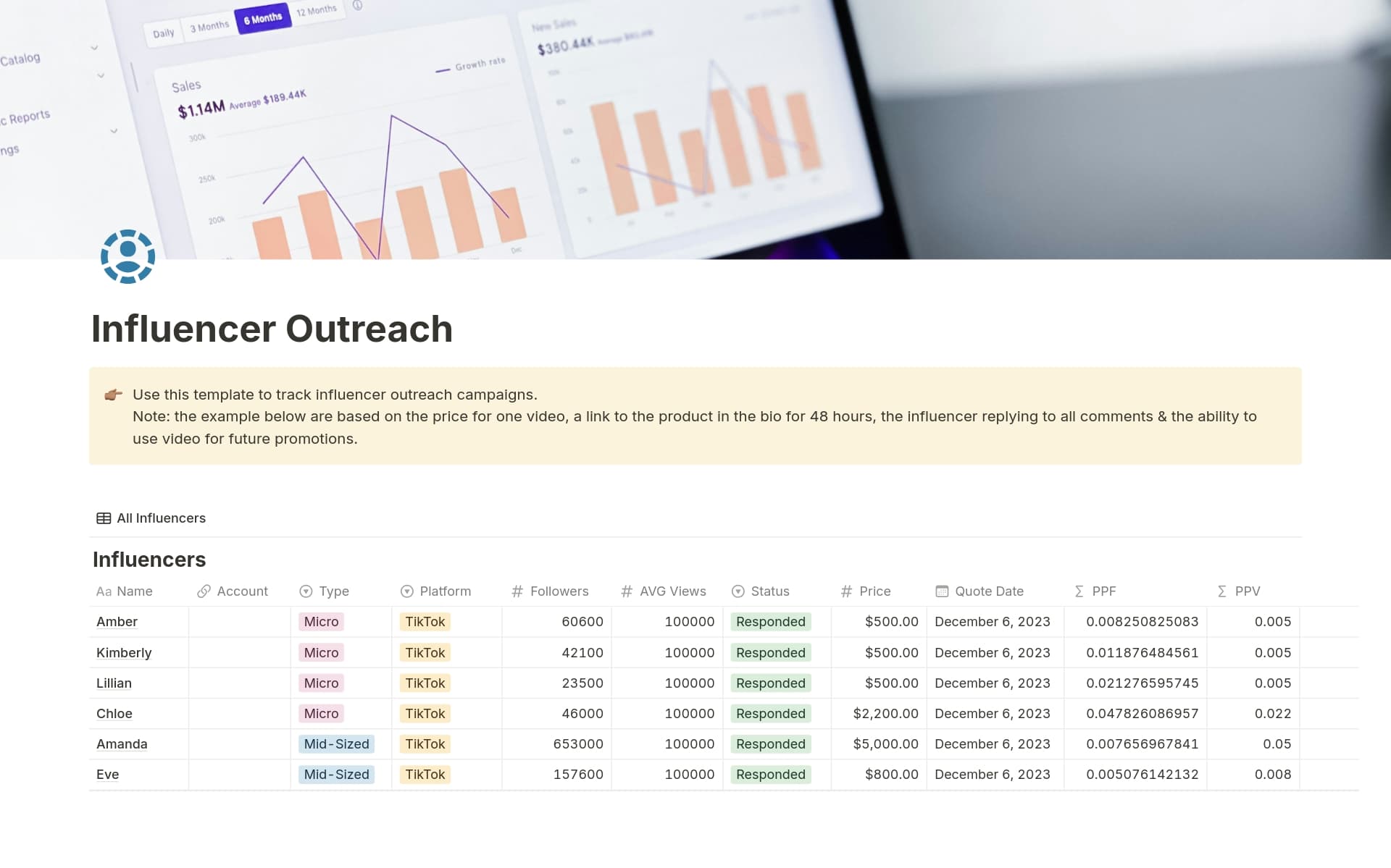 A template preview for Influencer Campaign Tracker