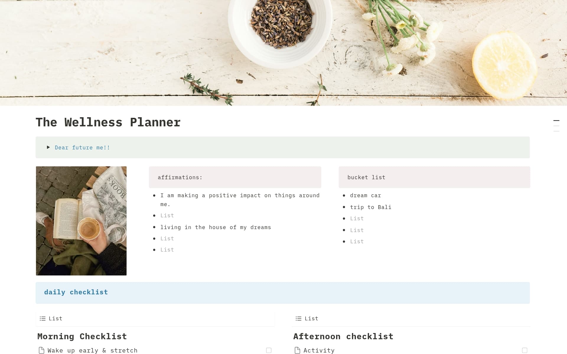 A template preview for Wellness Planner