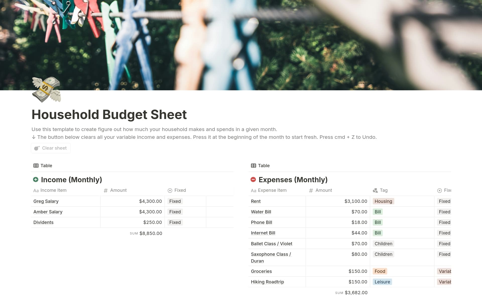 notion budget template