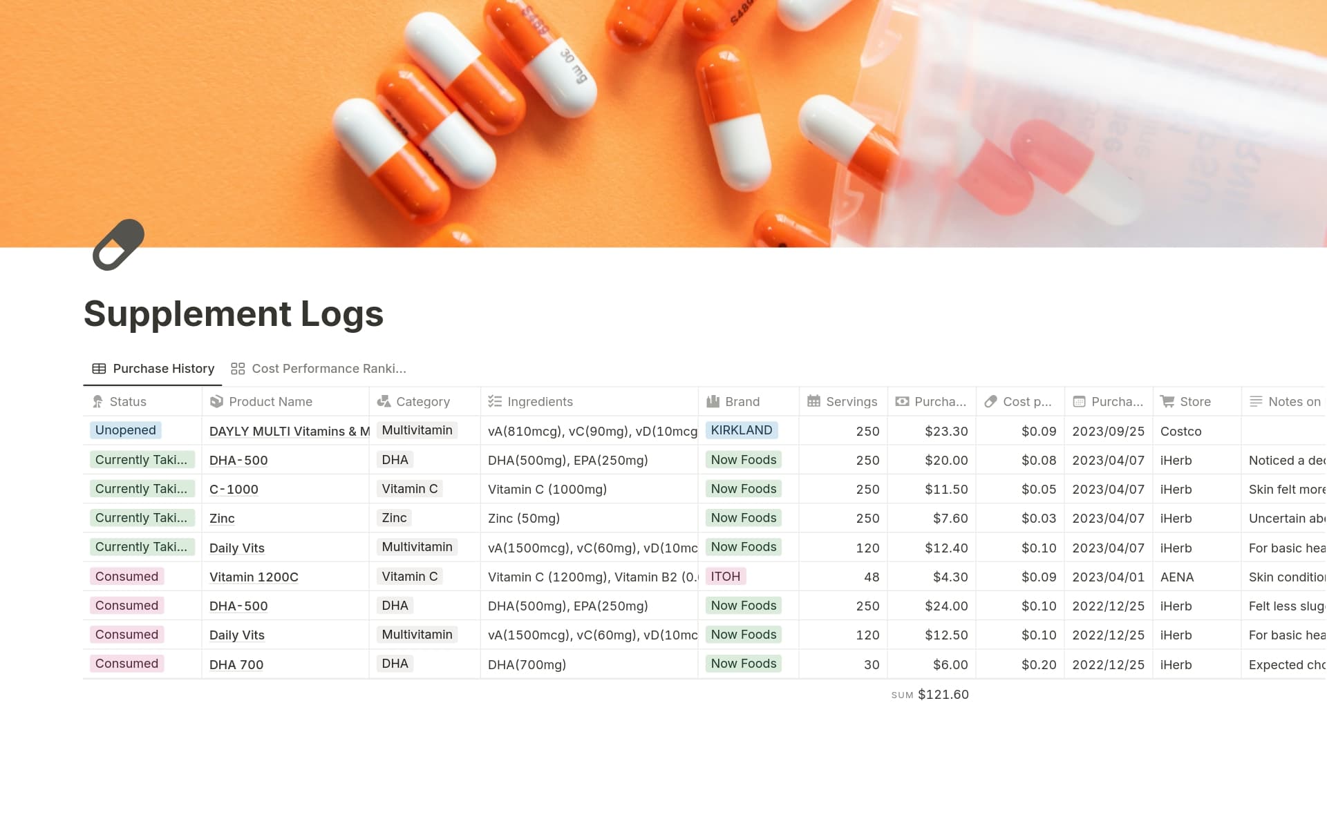 A template preview for Supplement Logs
