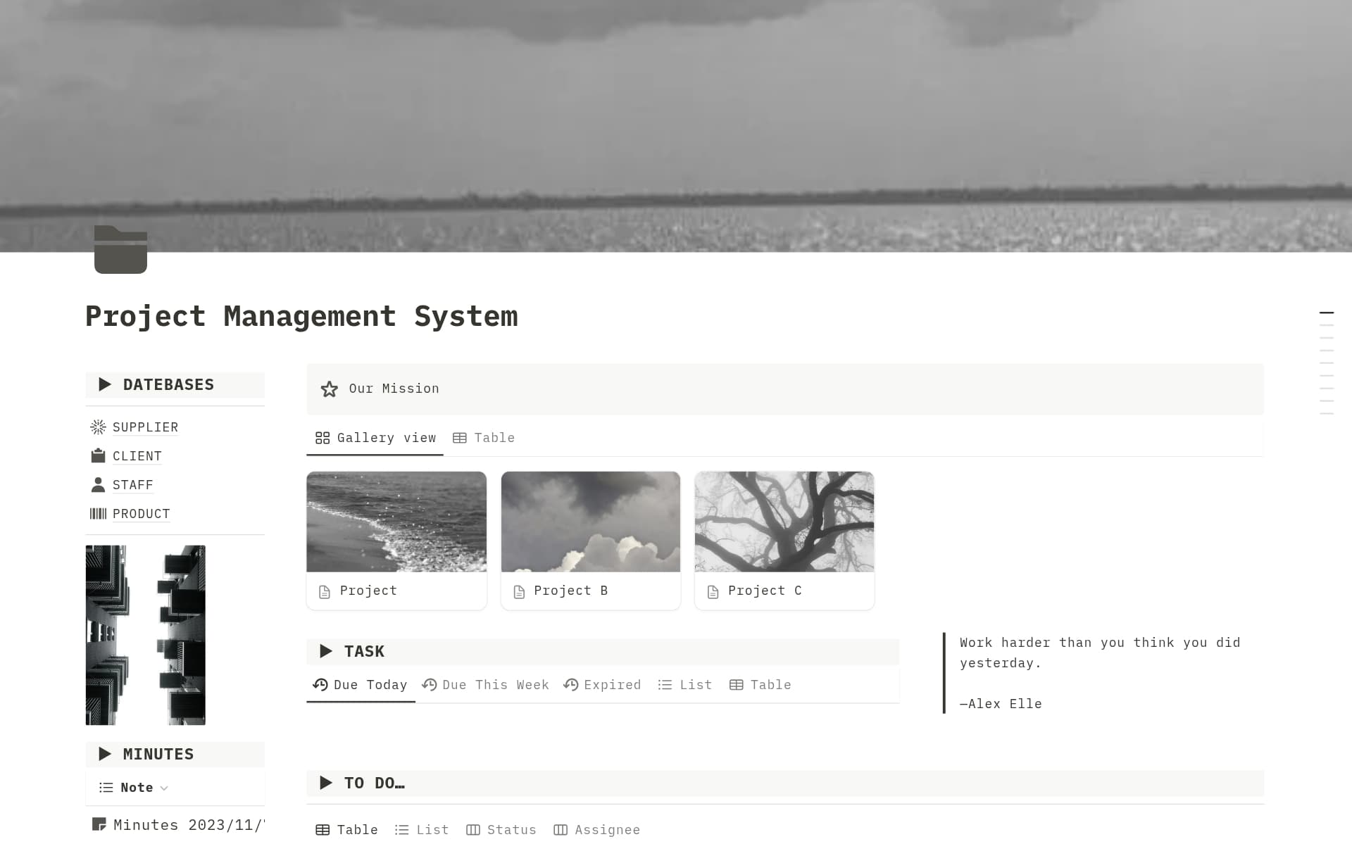 A template preview for Project Management System