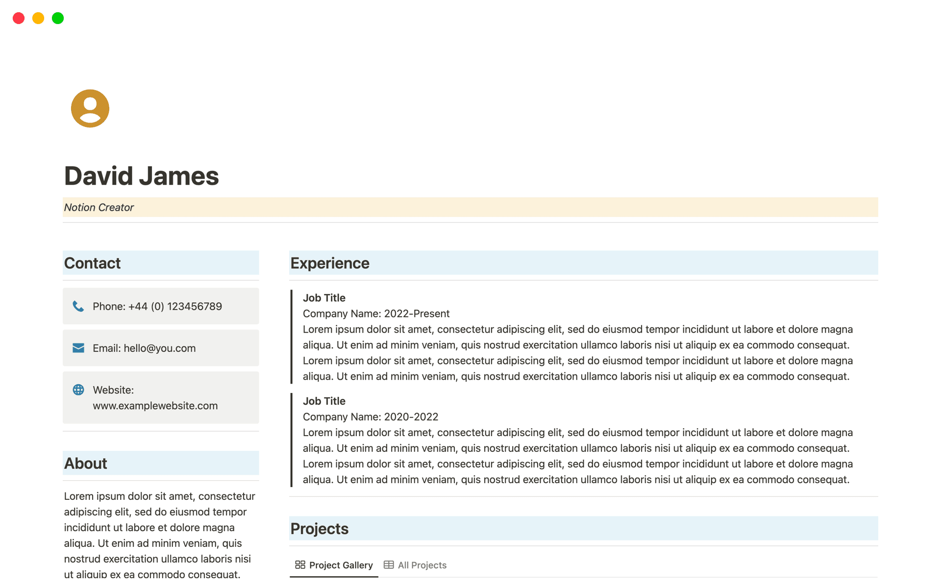 A template preview for Digital CV