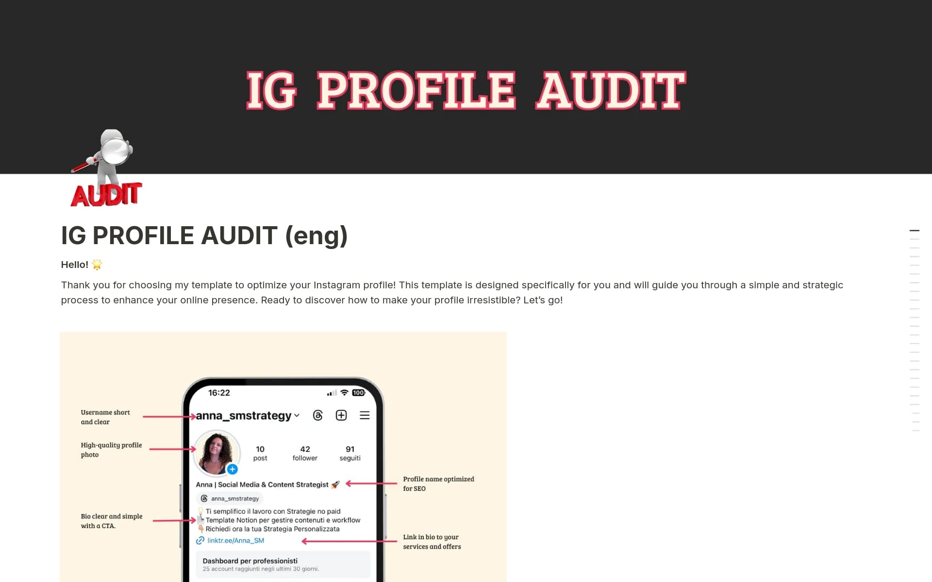 A template preview for IG PROFILE AUDIT