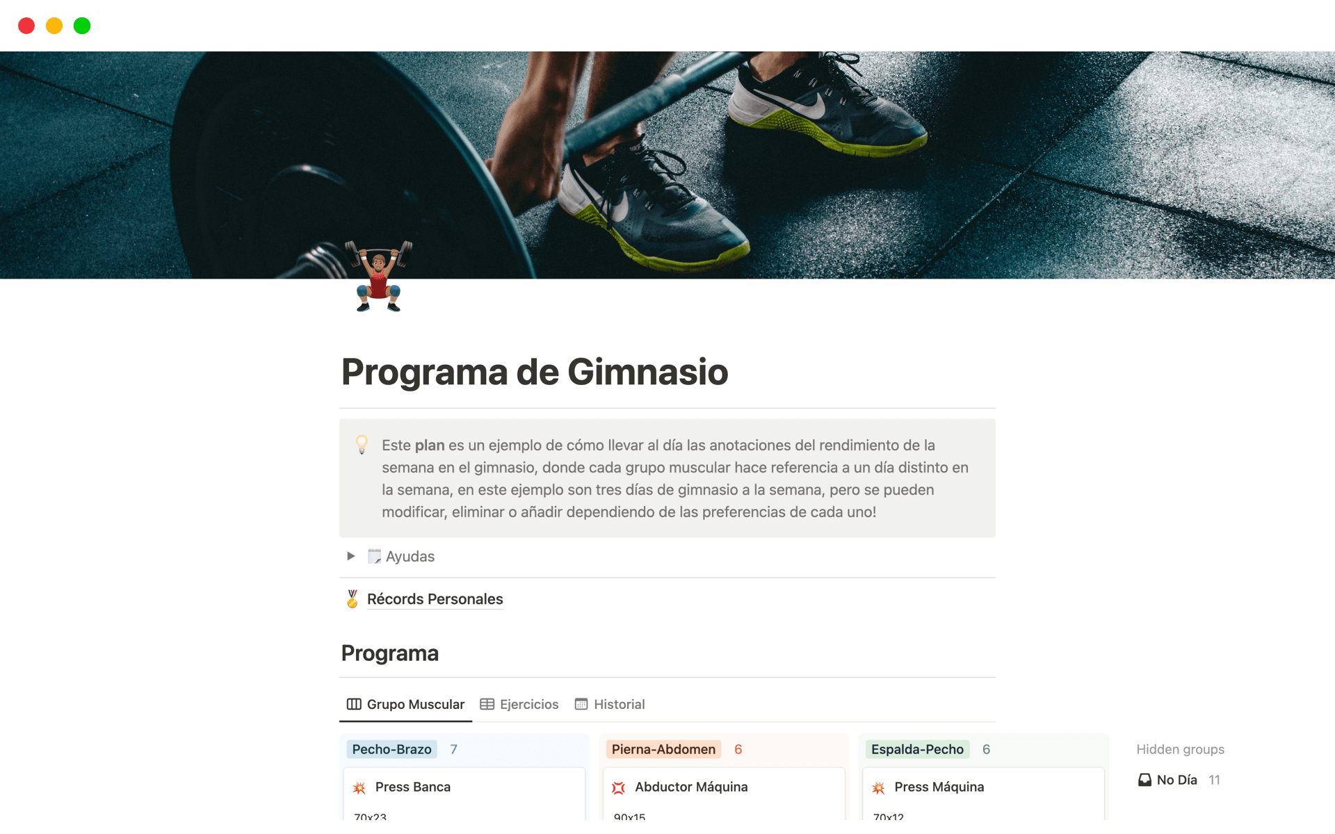 Programa de Gimnasio