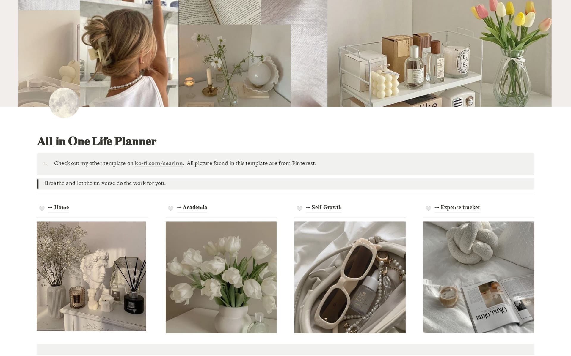 A template preview for All in One Life Planner