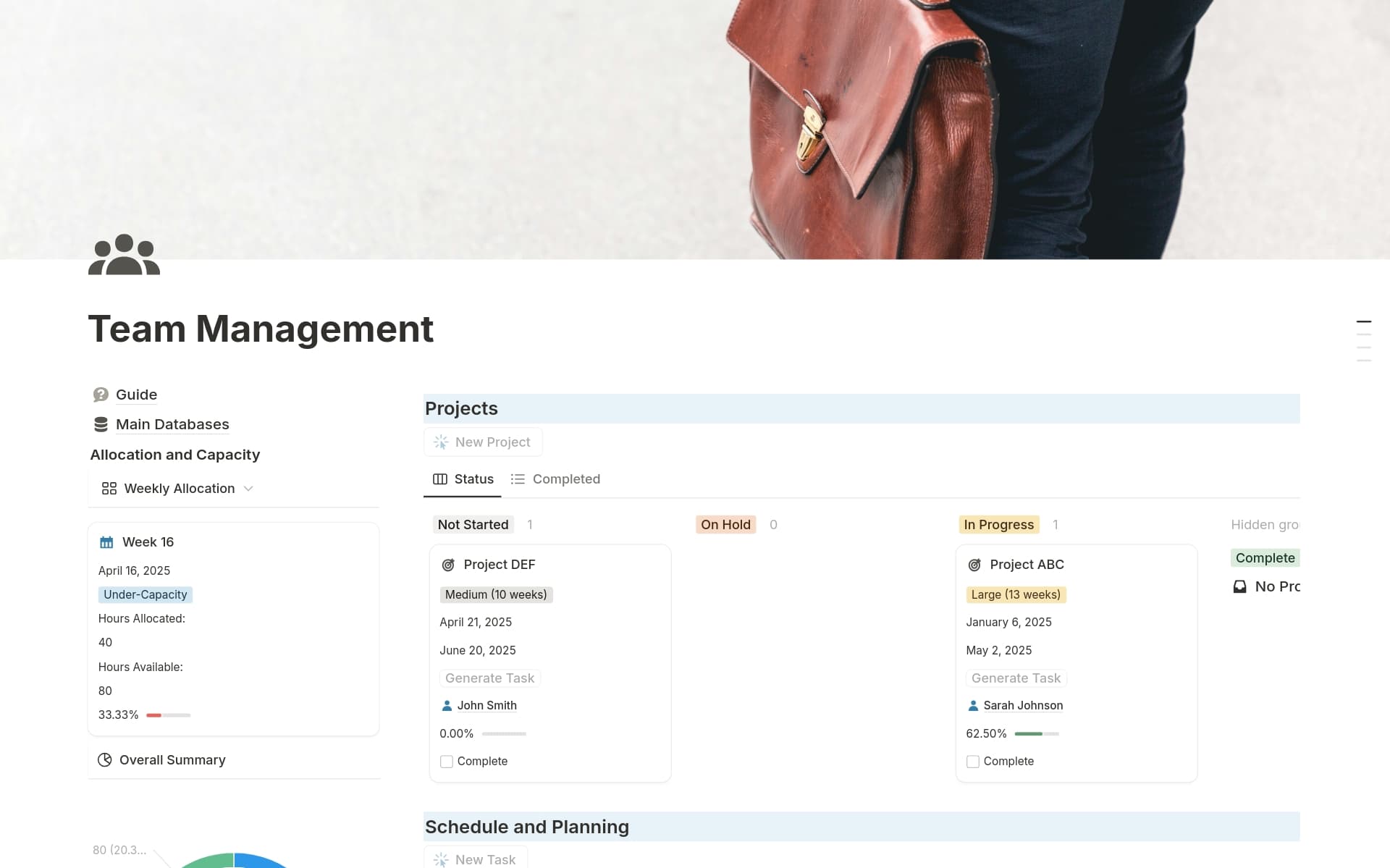 A template preview for Team Management
