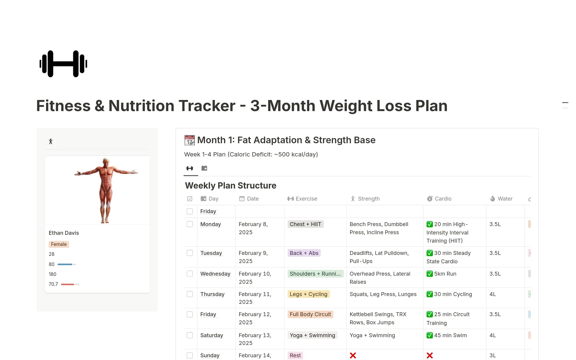 Workout Plan Template Personal Trainer With Meal Plan Near Me Make