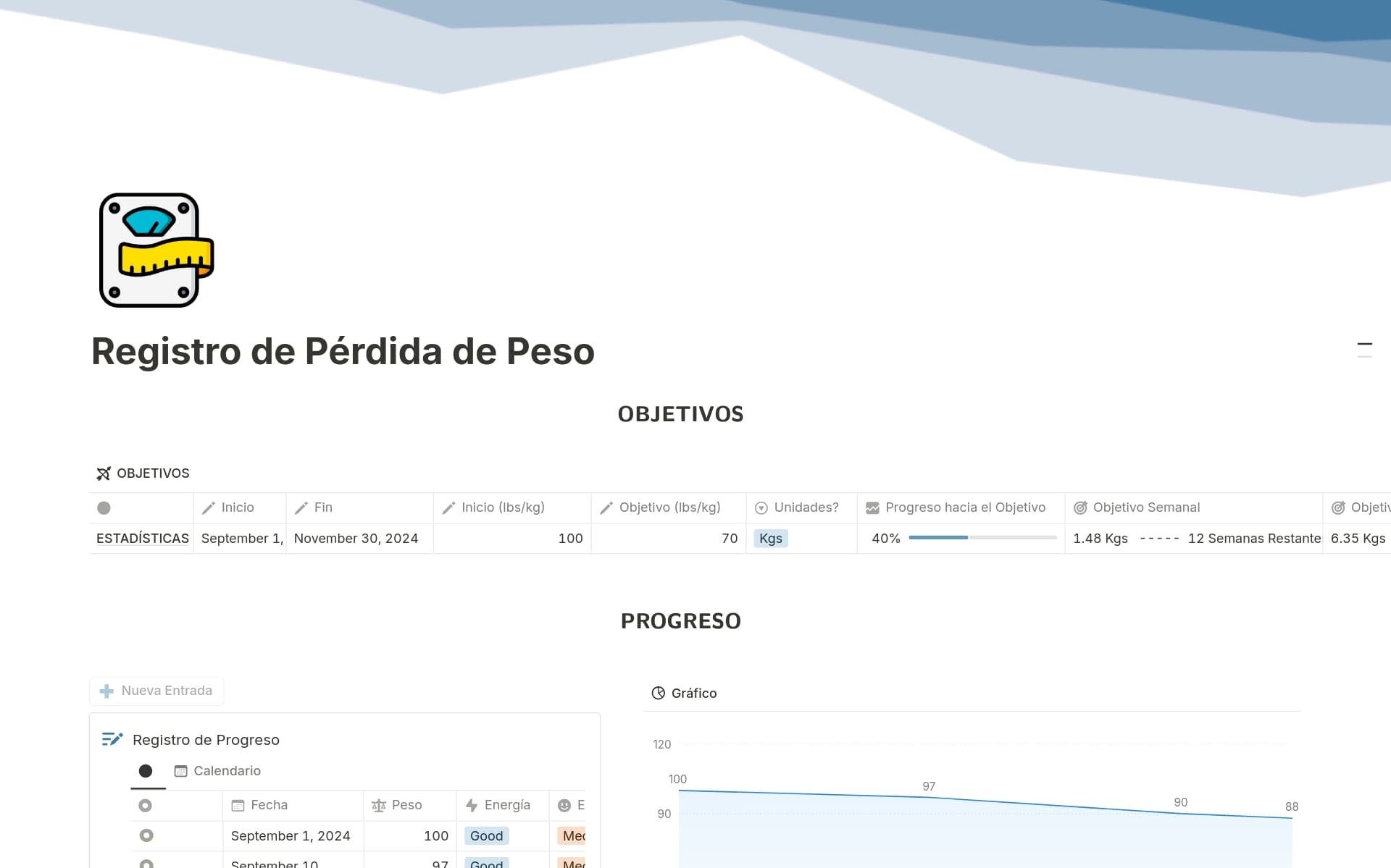 A template preview for Registro de Pérdida de Peso