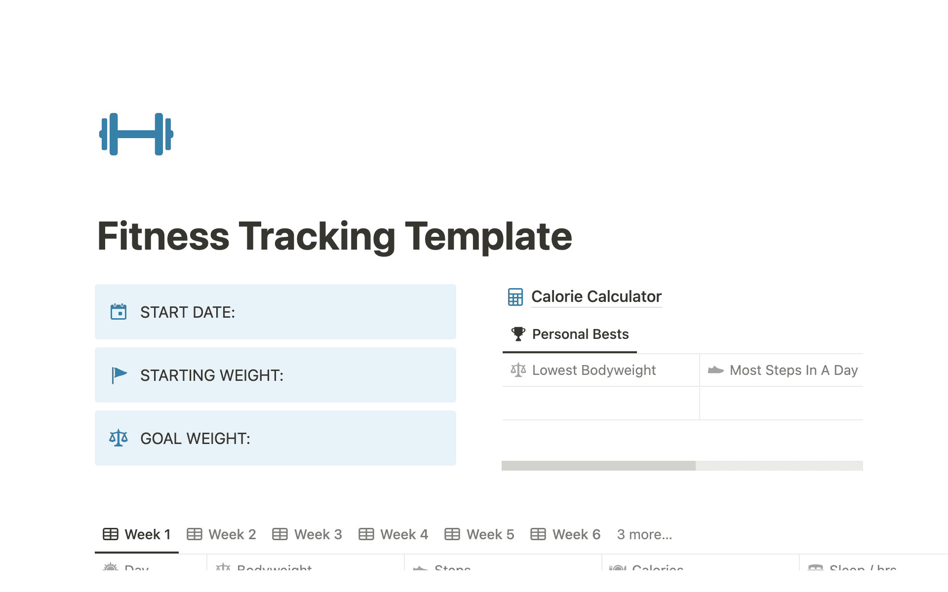 A template preview for Fitness Tracking Template