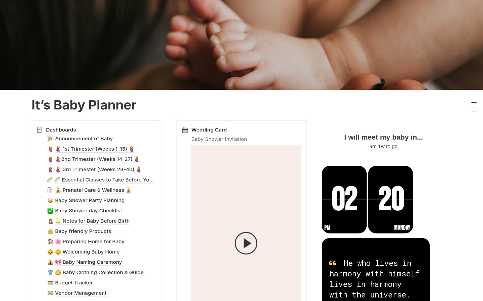 A template preview for The Ultimate Baby Planner for Pregnant Mothers