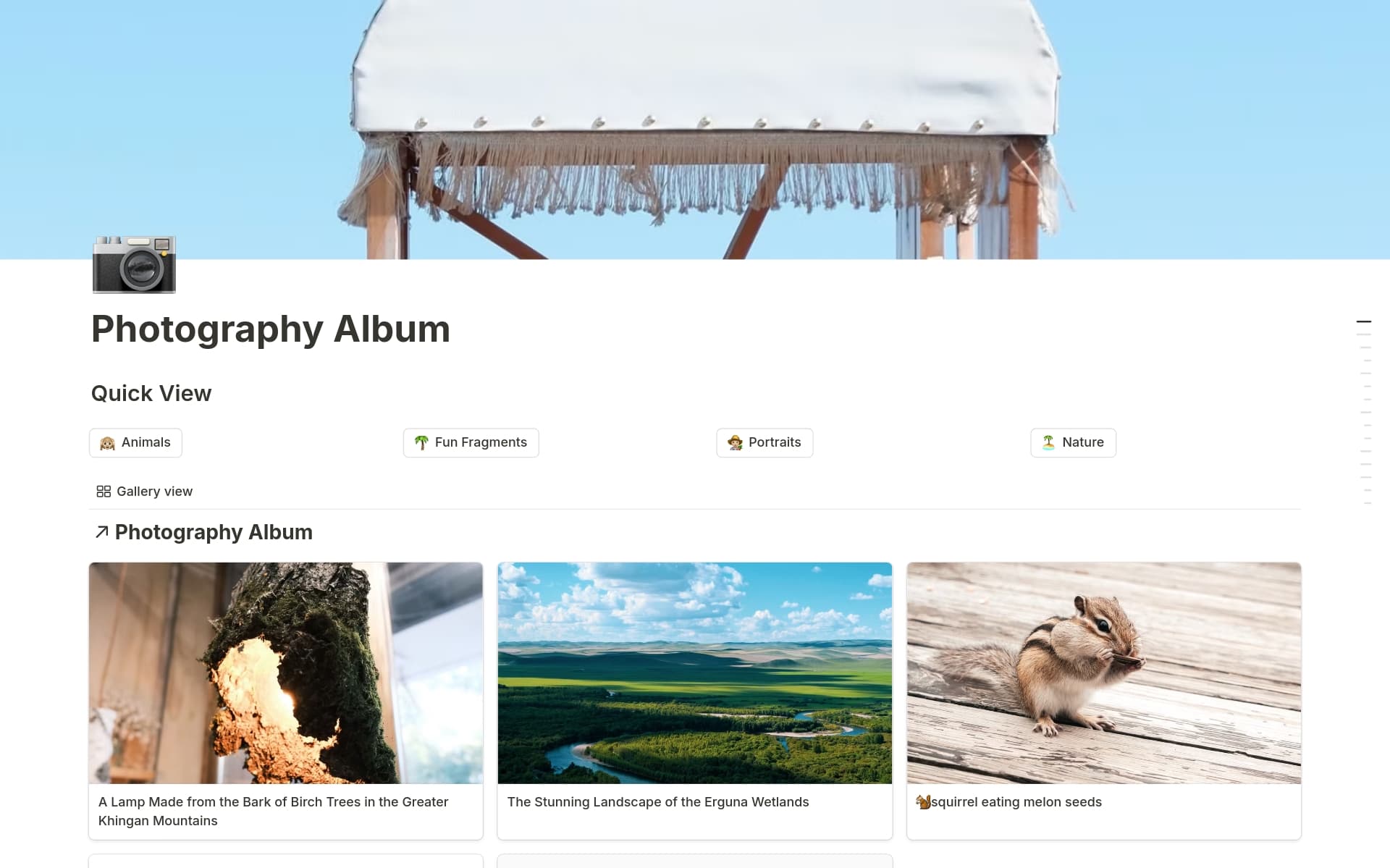 A template preview for Photography Album