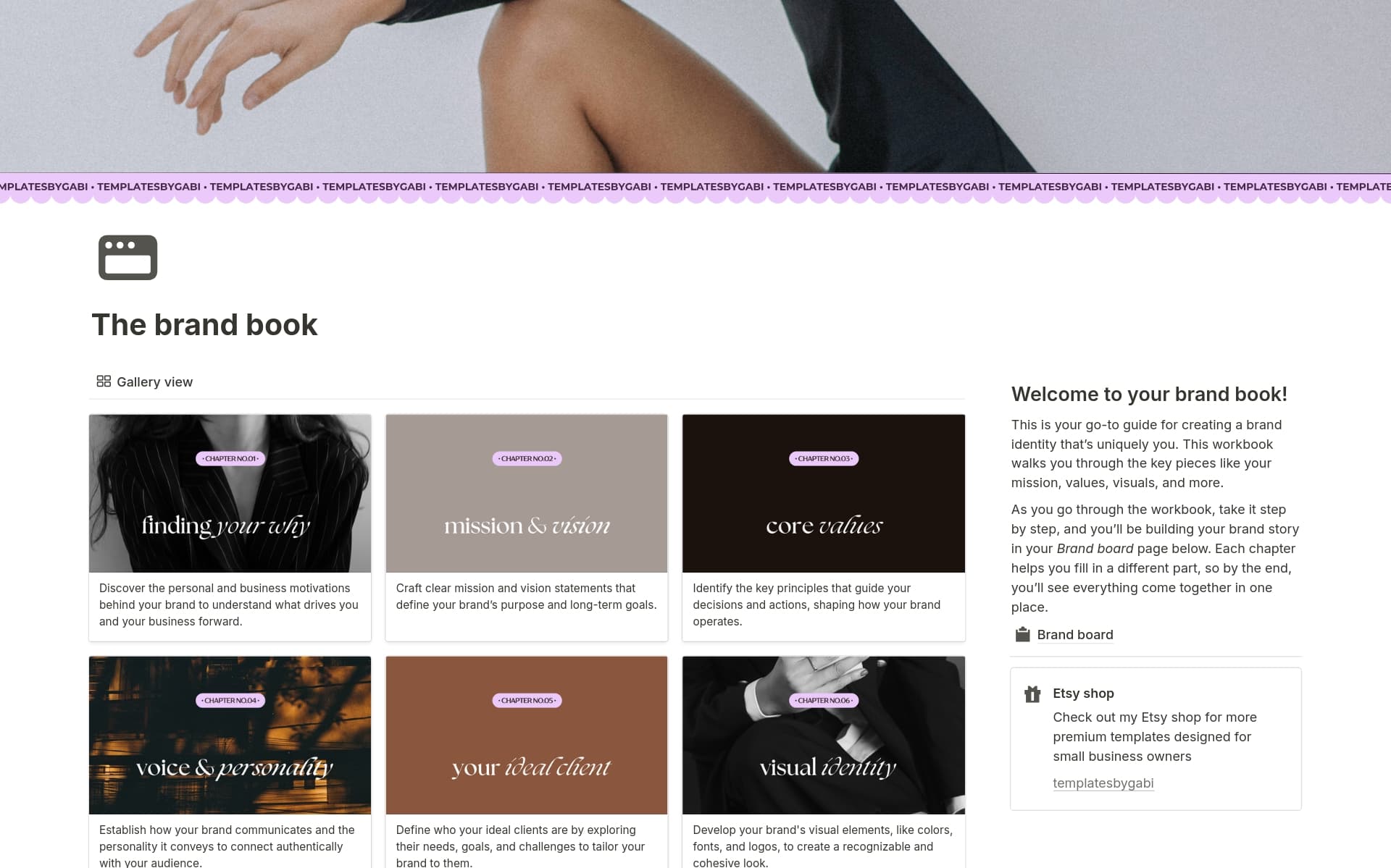 A template preview for The mini brand book