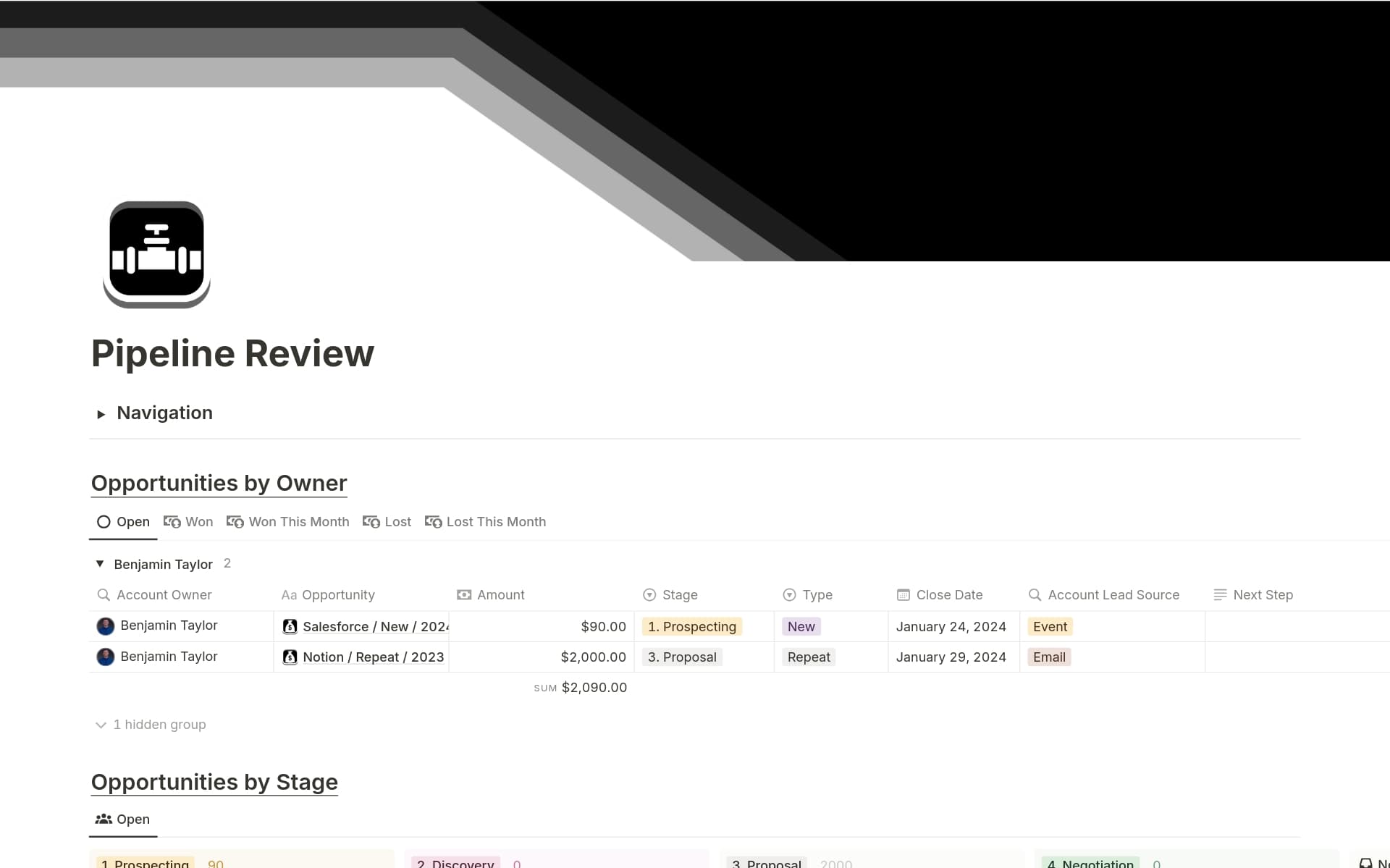 A template preview for Professional CRM