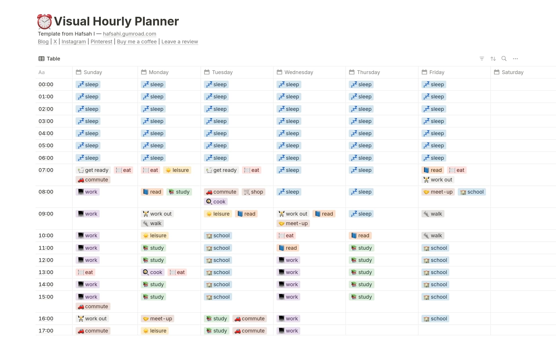 A template preview for Visual Hourly Planner
