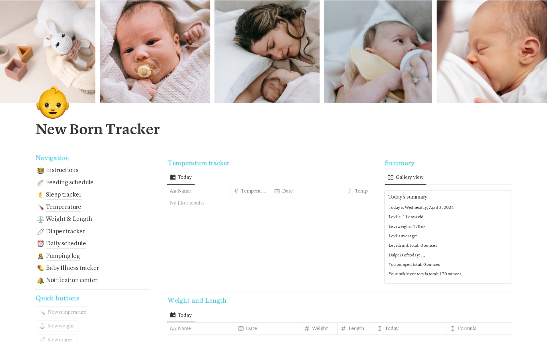 Newborn Tracker Baby Care Planner Boy Template by Exclutemplates