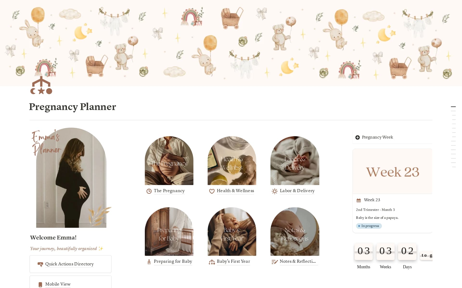 A template preview for Pregnancy Planner