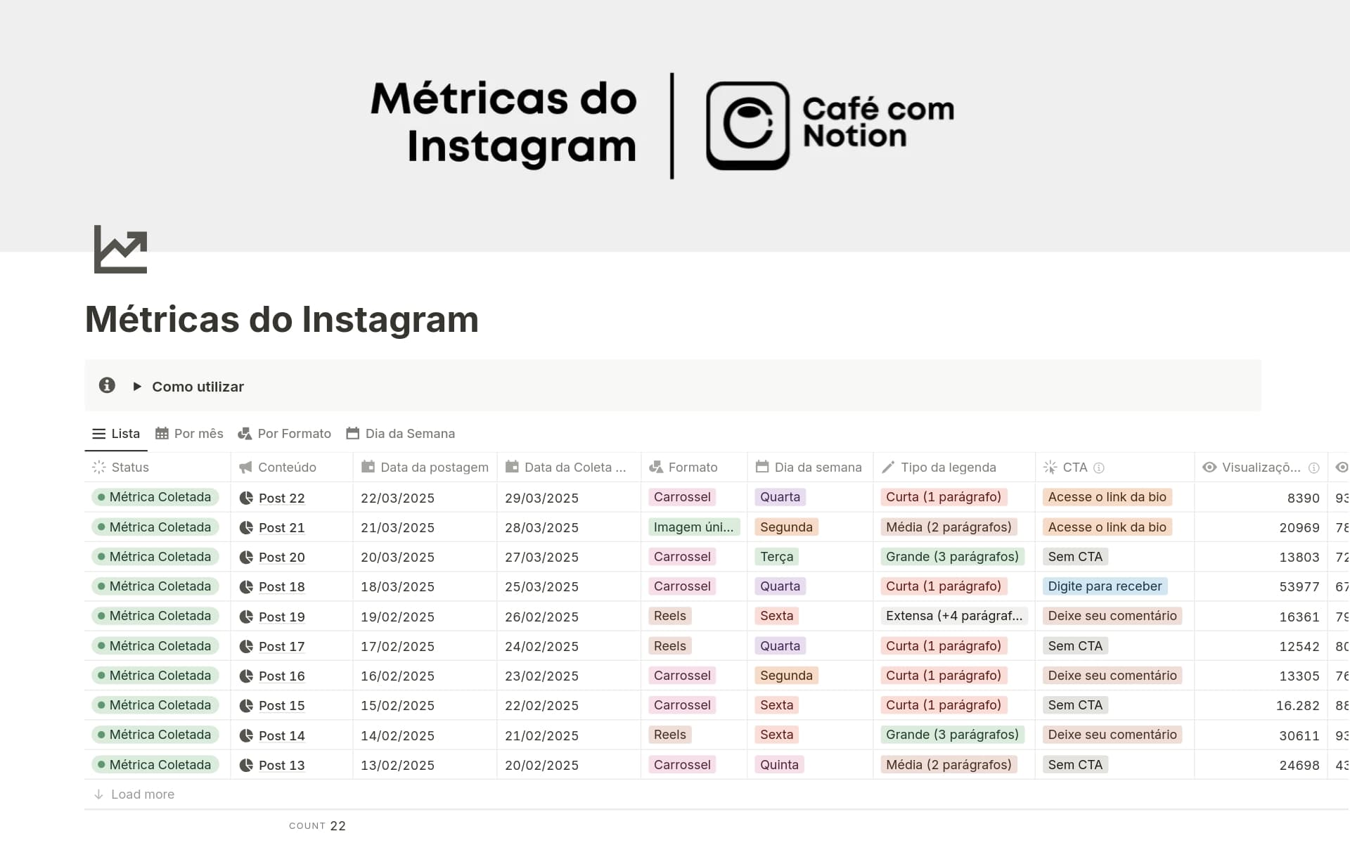 A template preview for Instagram Metrics