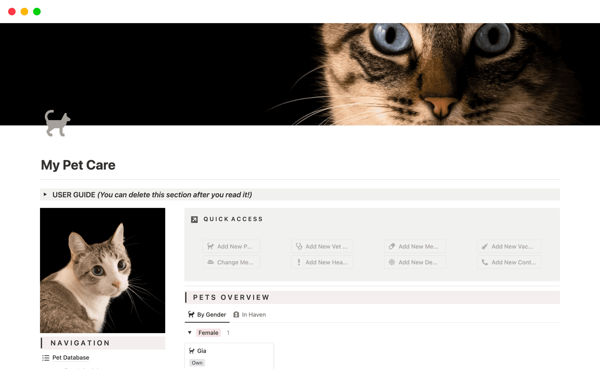 صورة لـ top-8-free-pets-templates-in-notion