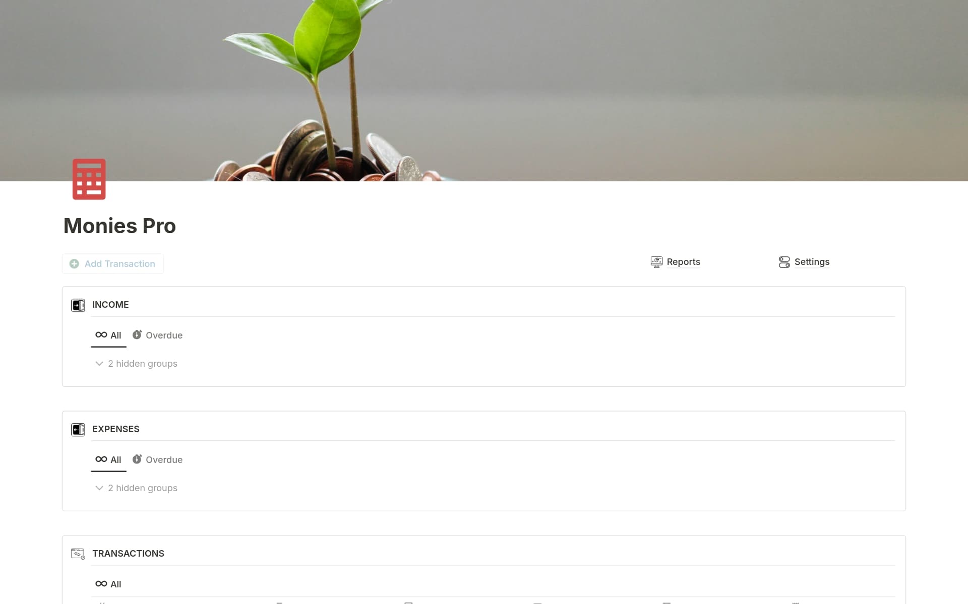 A template preview for Monies Pro - Comes with Chart of Accounts