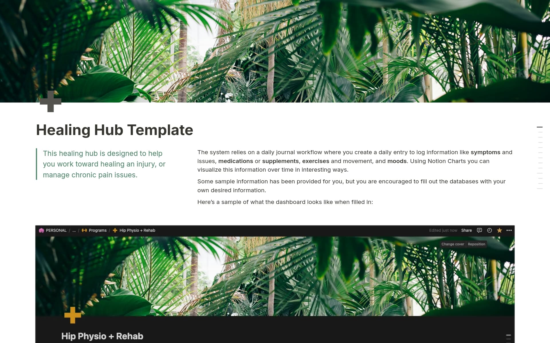 Healing Hub A Pain / Physio / Health tracker Template by Marie Poulin