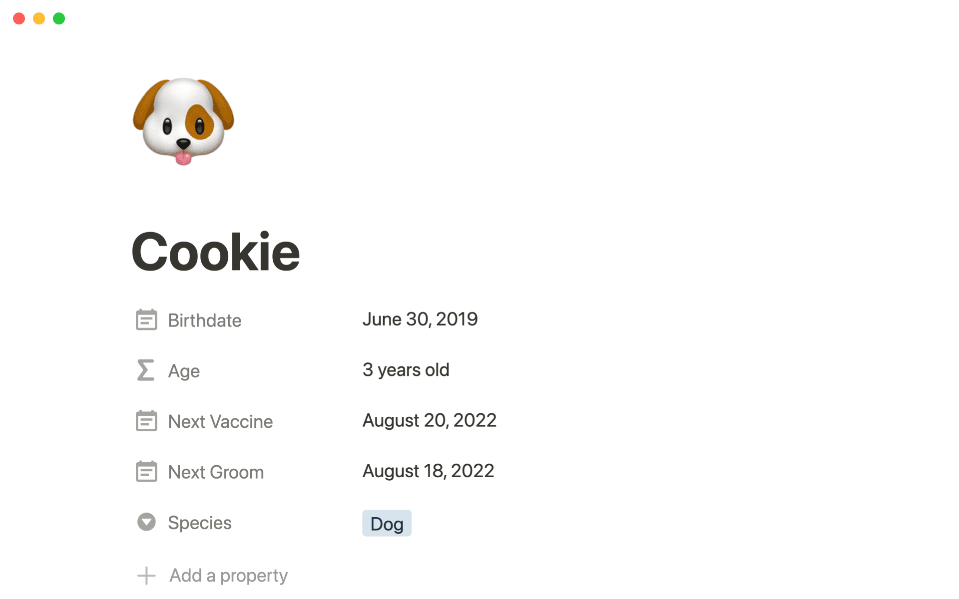 Pet Care Template Notion Marketplace pet-care-template-notion-marketplace