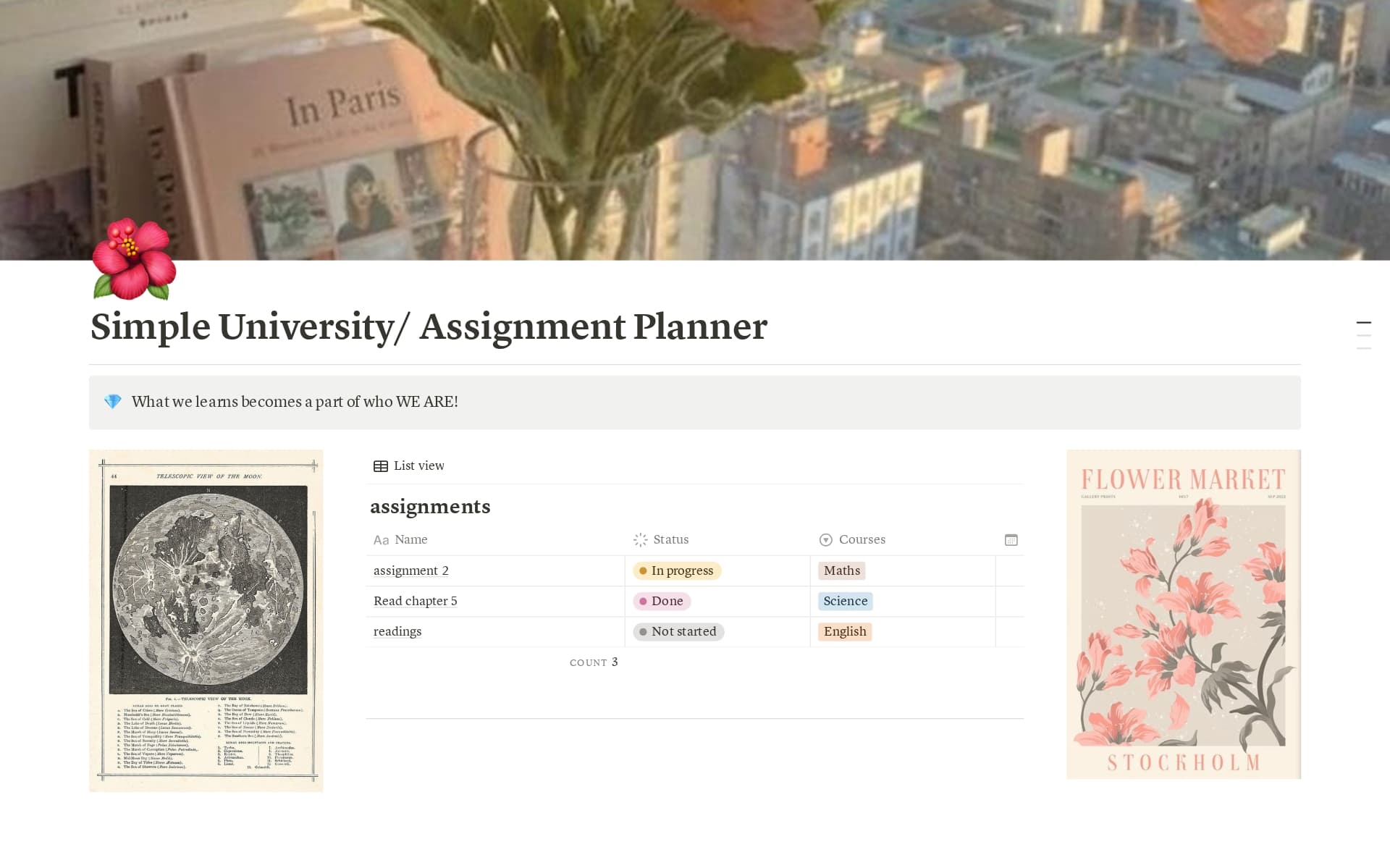university module manager Template by phaedra | Notion Marketplace