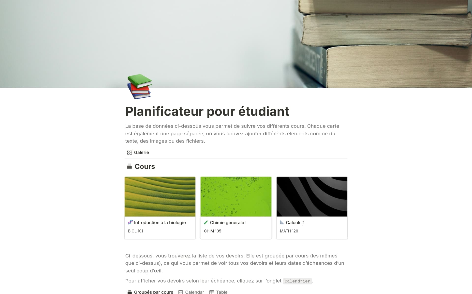 Programme Notion Plus de 30 000 modèles Notion | Marketplace Notion