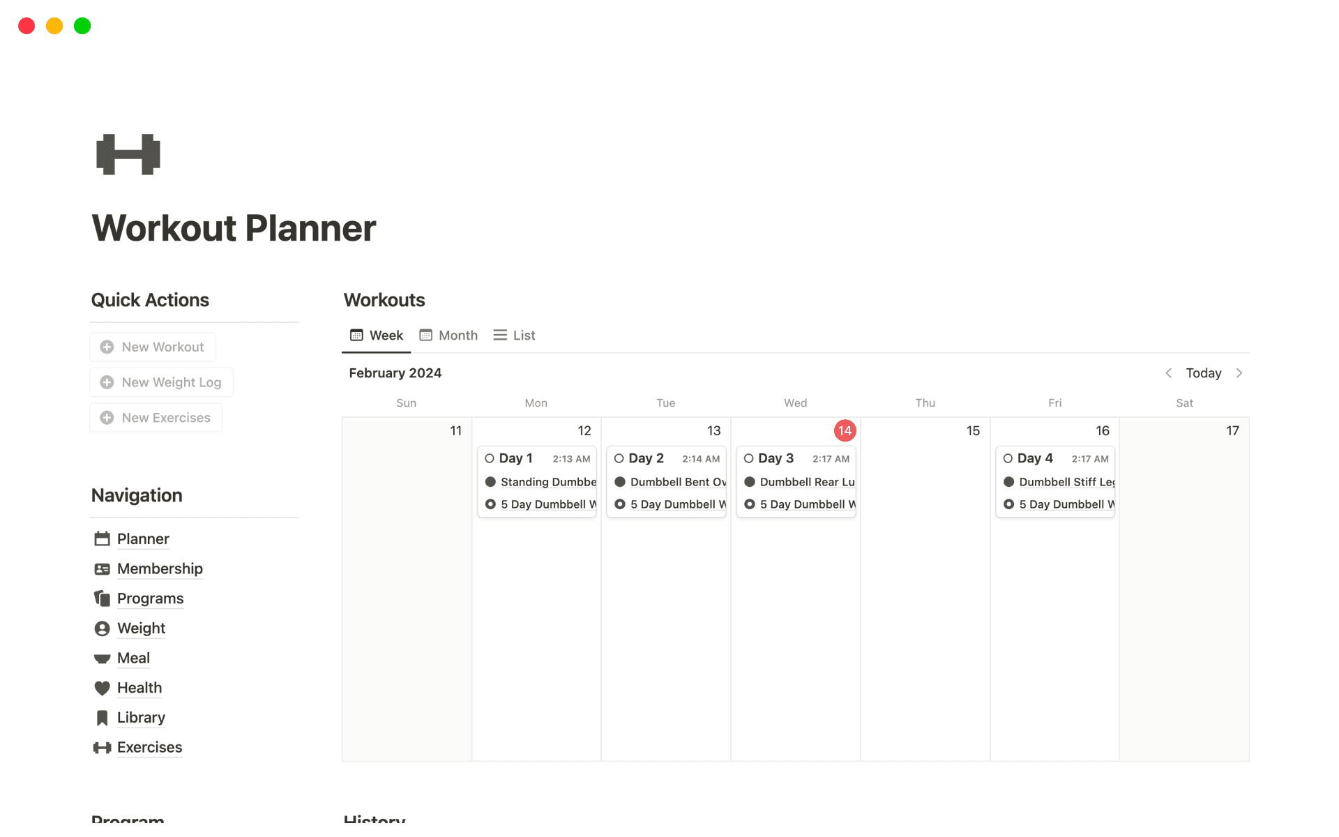 Workout Plan Template Free, Custom Printable Workout Planner Templates