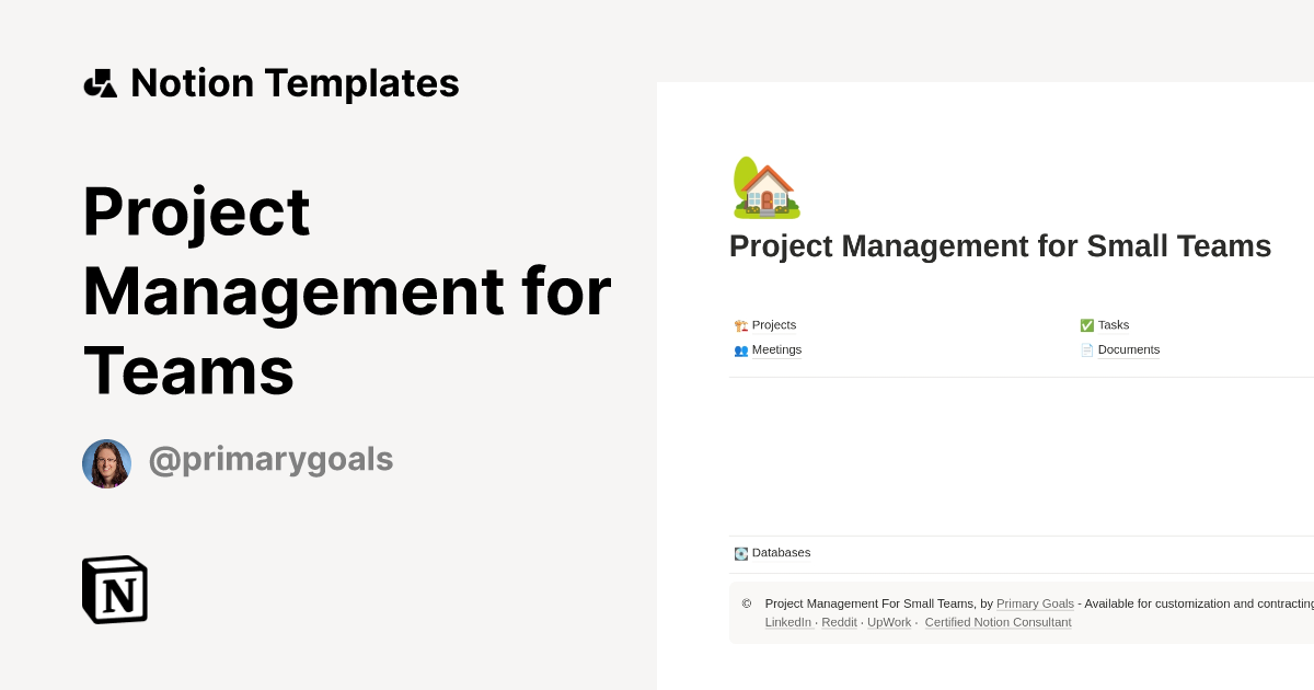 Project Management for Teams Template by Primary Goals | Notion Marketplace