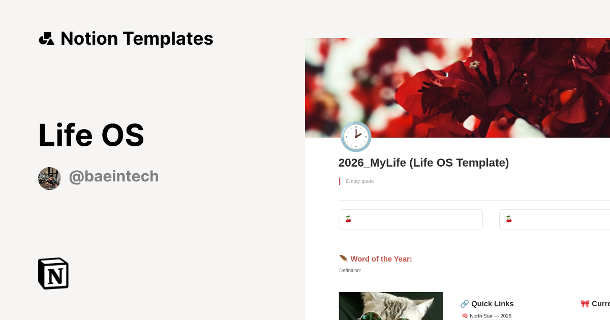 Life OS Template by Bey | Notion Marketplace