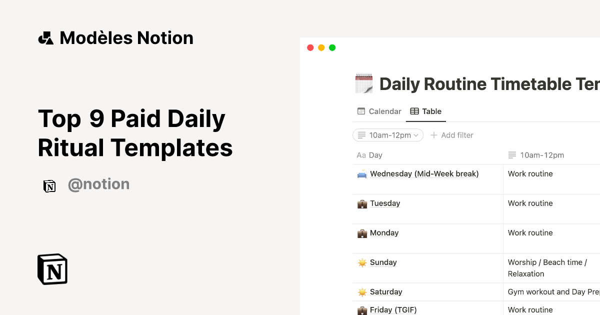 Top 9 Paid Daily Ritual Templates | Marketplace Notion de modèles