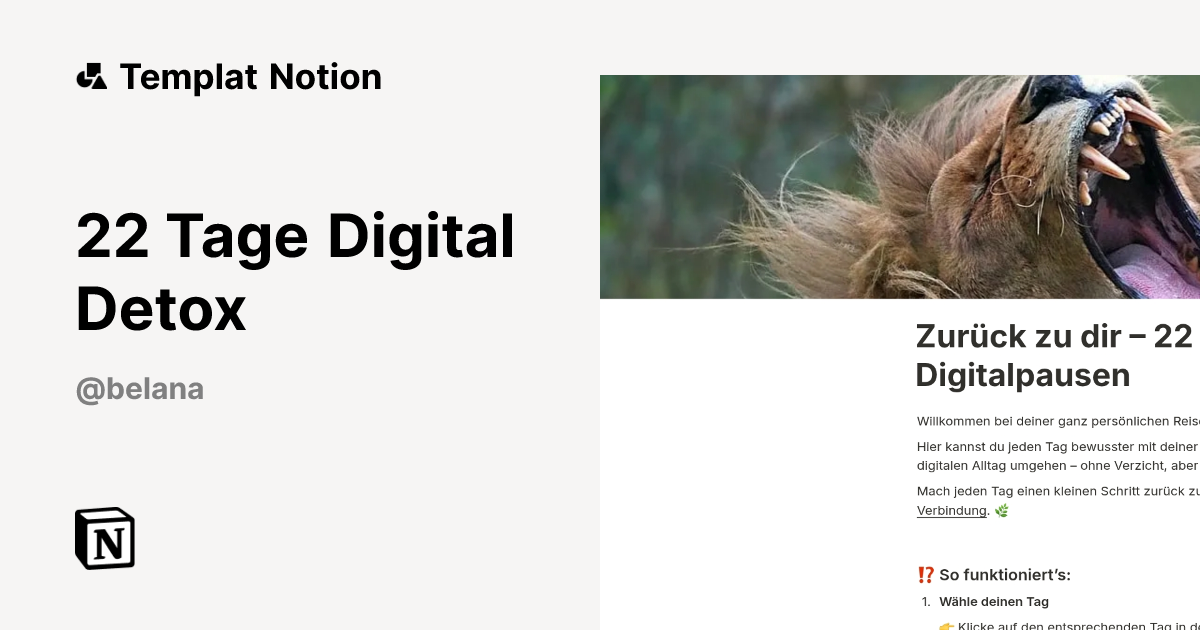 Templat 22 Tage Digital Detox | Notion Marketplace