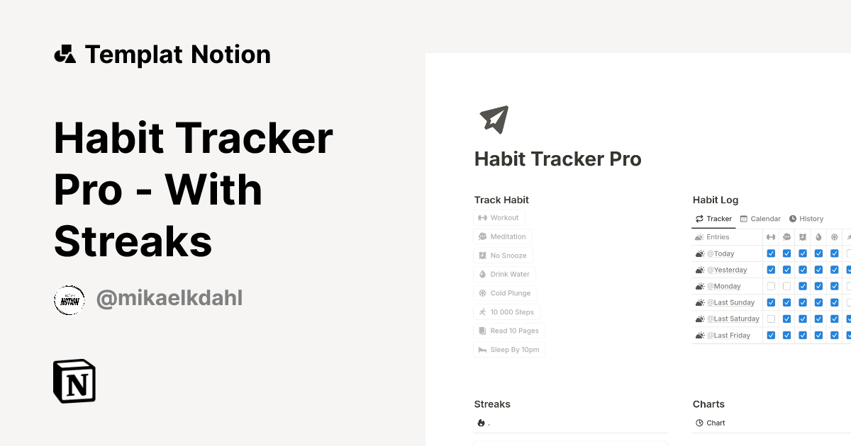 Templat Habit Tracker Pro - With Streaks | Notion Marketplace