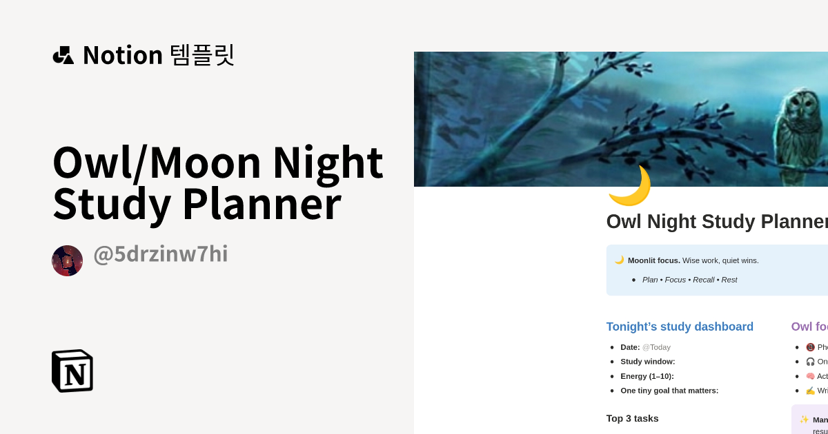 Owl/Moon Night Study Planner 템플릿 | Notion (노션) 마켓플레이스