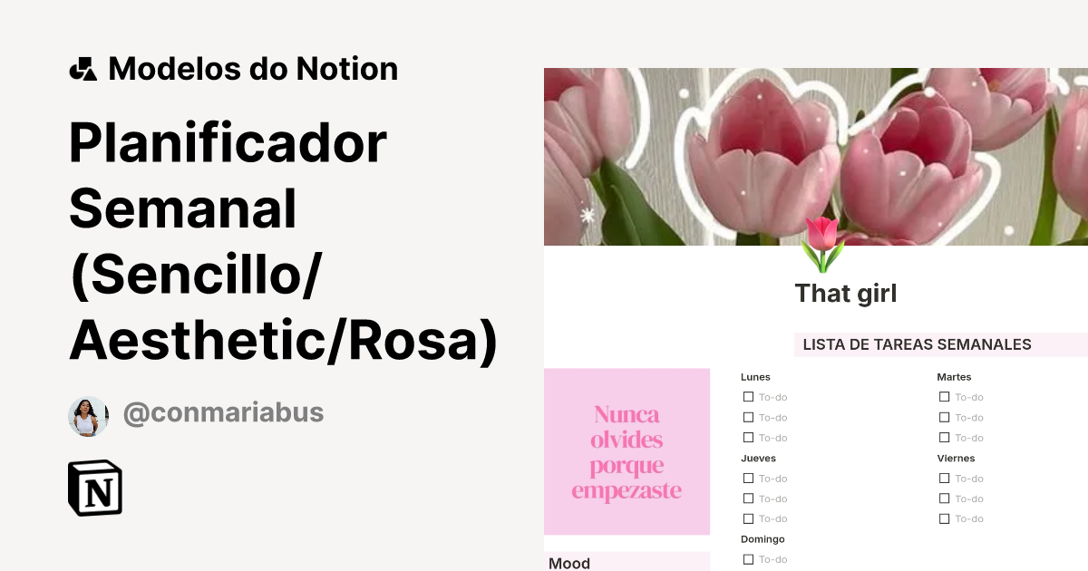 Modelo Planificador Semanal (Sencillo/Aesthetic/Rosa) | Marketplace do ...